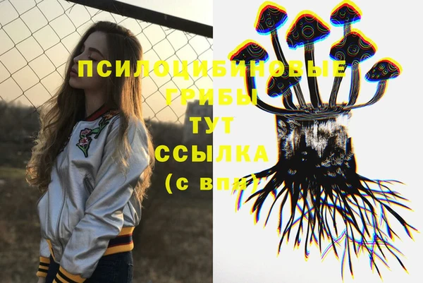 круглые Алексеевка