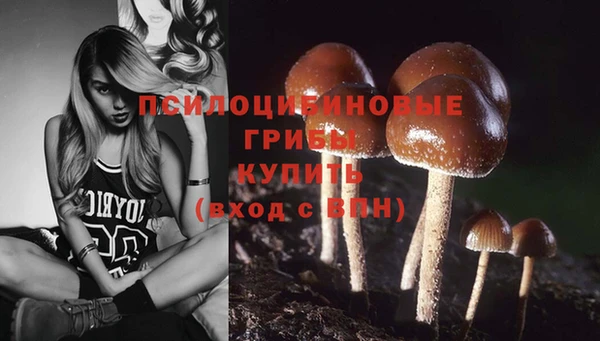 круглые Алексеевка