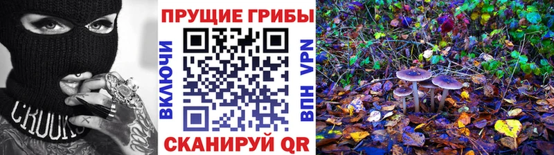 Галлюциногенные грибы GOLDEN TEACHER  Истра 