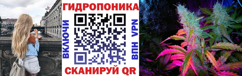 блэк спрут ссылка продажа наркотиков сайты даркнета телеграм Бошки марихуана конопля Истра